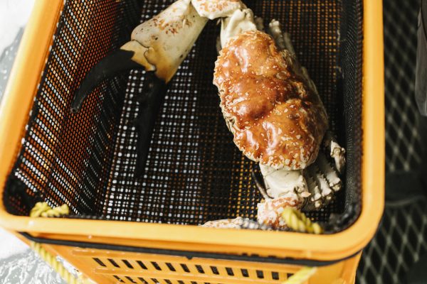 Giant Fresh Premium King/Mud Crabs - Image 2
