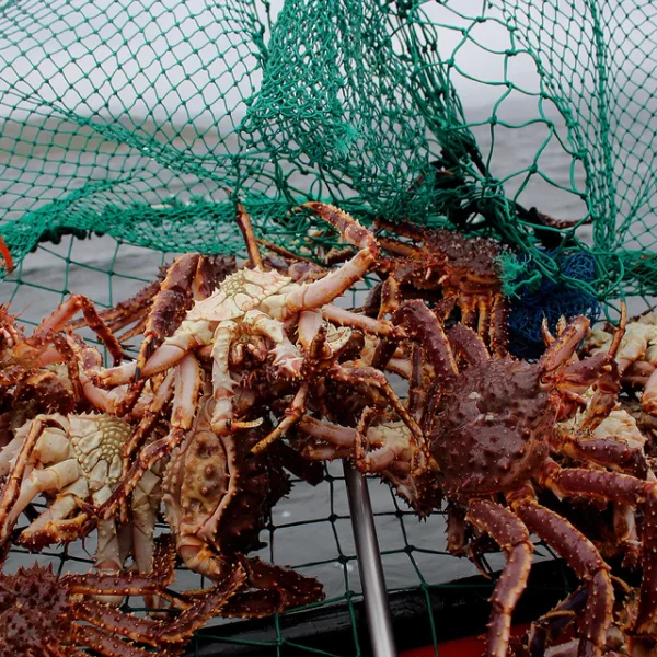 Giant Crabs - Image 5