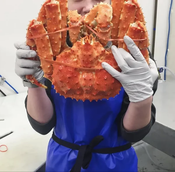 Alaskan King Crabs - Image 2