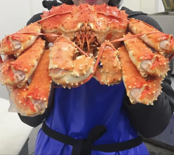 Alaskan King Crabs - Image 3