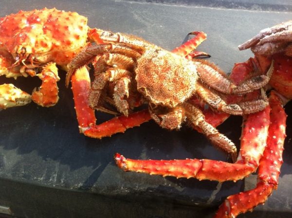 Frozen Alaskan King Crab Legs - Image 5