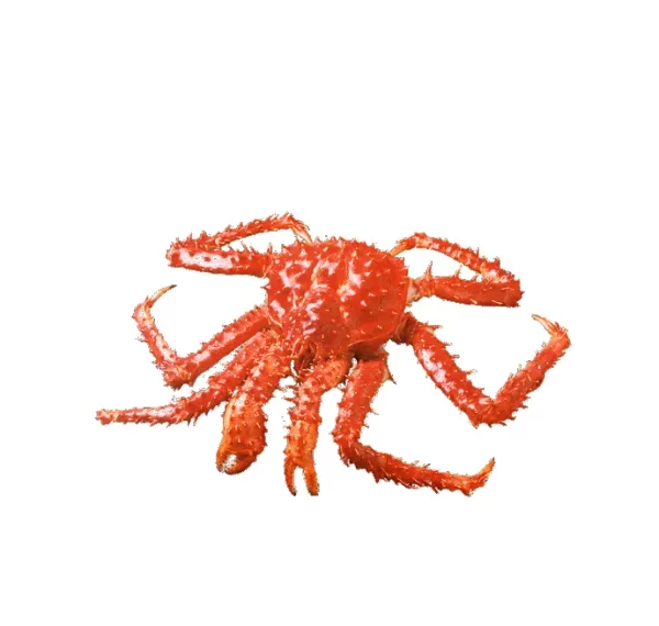 Frozen Canadian King Crab Legs - Image 8